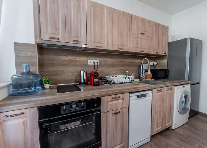 بيت ضيافة Vitoshka - R2